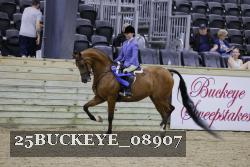 25BUCKEYE_08907 thumbnail