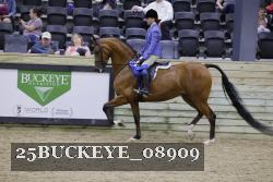 25BUCKEYE_08909 thumbnail