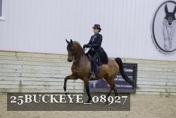 25BUCKEYE_08927 thumbnail