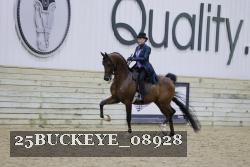 25BUCKEYE_08928 thumbnail