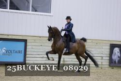 25BUCKEYE_08929 thumbnail