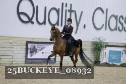 25BUCKEYE_08932 thumbnail
