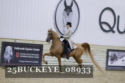 25BUCKEYE_08933 thumbnail