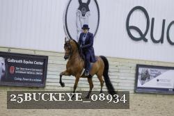 25BUCKEYE_08934 thumbnail