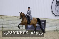 25BUCKEYE_08935 thumbnail