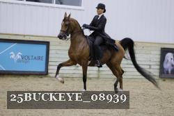 25BUCKEYE_08939 thumbnail