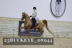 25BUCKEYE_08944 thumbnail