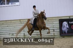25BUCKEYE_08947 thumbnail