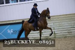 25BUCKEYE_08951 thumbnail