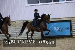 25BUCKEYE_08953 thumbnail