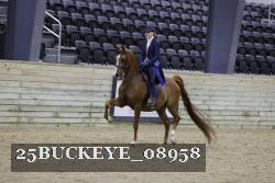 25BUCKEYE_08958 thumbnail