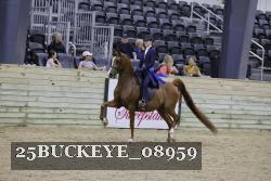 25BUCKEYE_08959 thumbnail