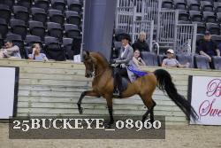 25BUCKEYE_08960 thumbnail