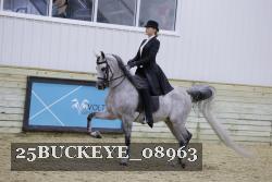 25BUCKEYE_08963 thumbnail