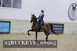 25BUCKEYE_08965 thumbnail