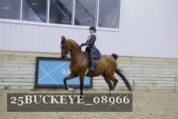 25BUCKEYE_08966 thumbnail