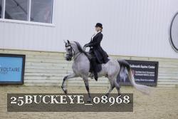 25BUCKEYE_08968 thumbnail