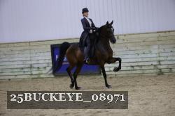 25BUCKEYE_08971 thumbnail