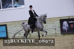 25BUCKEYE_08972 thumbnail