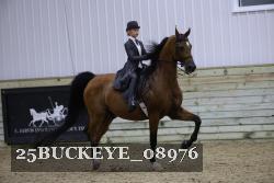 25BUCKEYE_08976 thumbnail