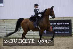 25BUCKEYE_08977 thumbnail
