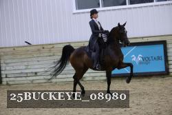 25BUCKEYE_08980 thumbnail