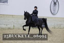 25BUCKEYE_08994 thumbnail