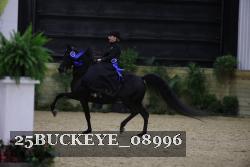 25BUCKEYE_08996 thumbnail