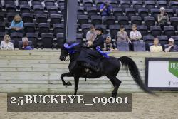 25BUCKEYE_09001 thumbnail