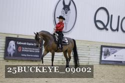 25BUCKEYE_09002 thumbnail