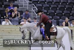 25BUCKEYE_09028 thumbnail