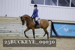 25BUCKEYE_09030 thumbnail