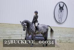 25BUCKEYE_09034 thumbnail