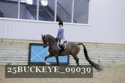 25BUCKEYE_09039 thumbnail