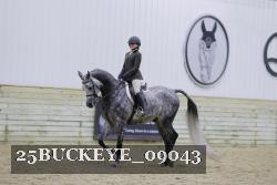 25BUCKEYE_09043 thumbnail