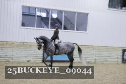 25BUCKEYE_09044 thumbnail