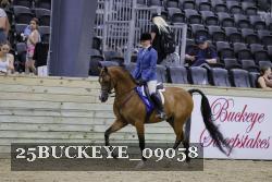 25BUCKEYE_09058 thumbnail