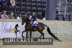 25BUCKEYE_09061 thumbnail