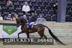 25BUCKEYE_09062 thumbnail
