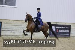 25BUCKEYE_09063 thumbnail