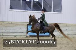 25BUCKEYE_09065 thumbnail