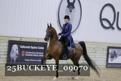 25BUCKEYE_09070 thumbnail