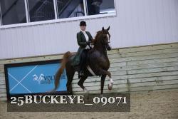 25BUCKEYE_09071 thumbnail