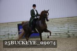 25BUCKEYE_09074 thumbnail