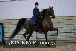 25BUCKEYE_09075 thumbnail