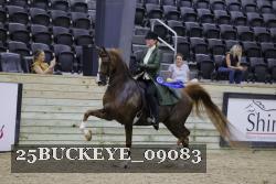 25BUCKEYE_09083 thumbnail