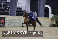 25BUCKEYE_09085 thumbnail