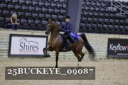 25BUCKEYE_09087 thumbnail