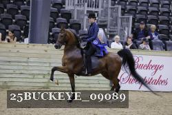25BUCKEYE_09089 thumbnail