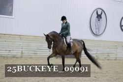 25BUCKEYE_09091 thumbnail